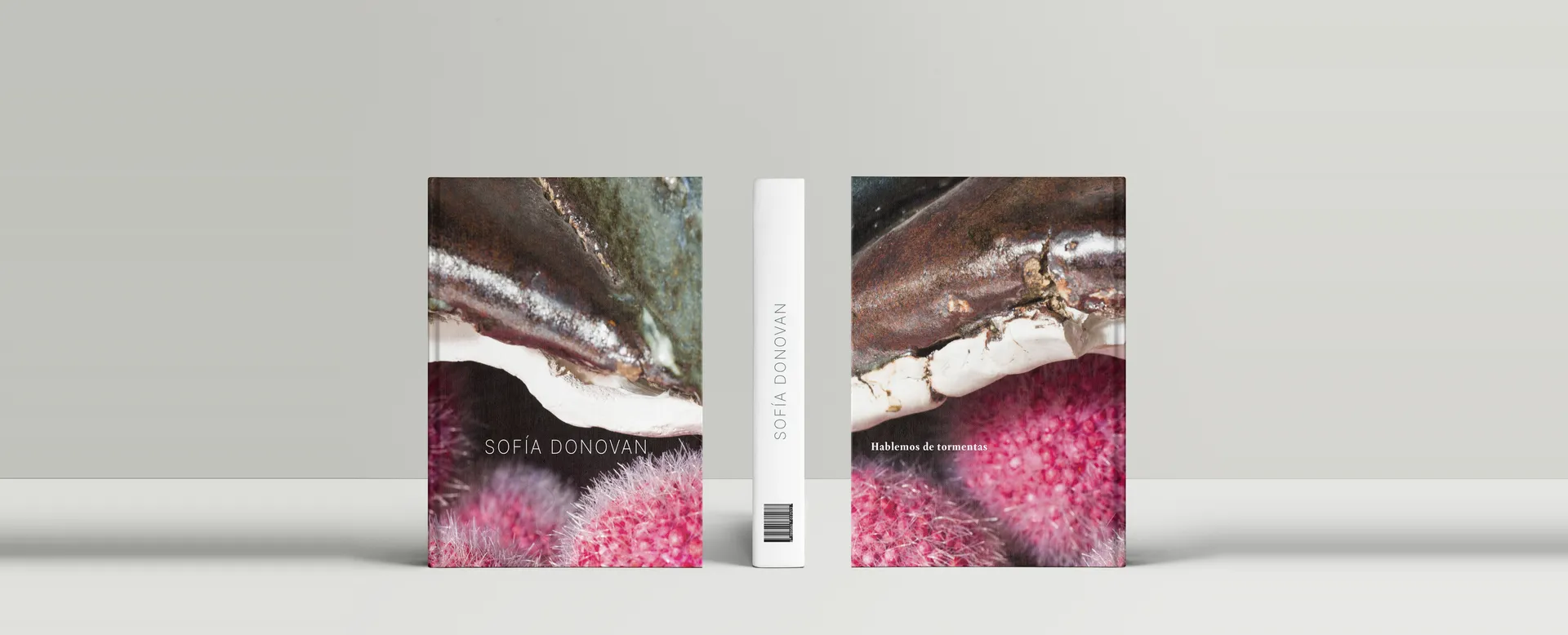 Hablemos de tormentas, libro de Sofía Donovan